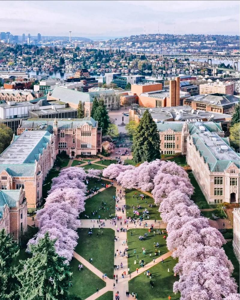 伊利诺伊大学香槟分校